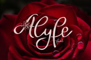 Alyfe: A Designer’s Honest Review of This Script Amp