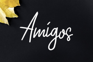 Amigos: A Modern Script Font for Handmade Brands