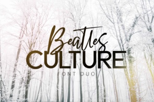 Beatles Culture: The Typeface That Elevates Campaign Visuals
