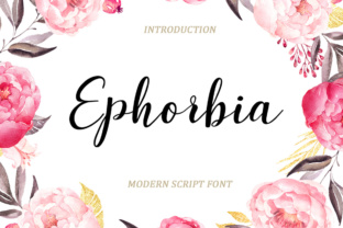 Ephorbia: The Script Font That Polished Our Brand Identity