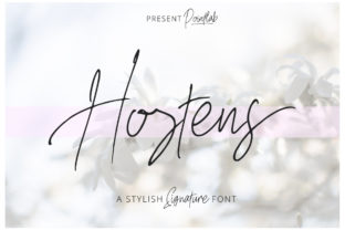 Hostens Signature: A Designer’s Review