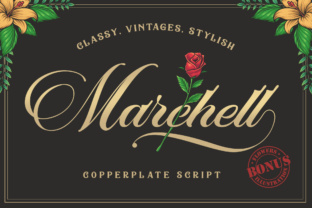Marchell Script Font Review: Elegant Type for Digital Brands