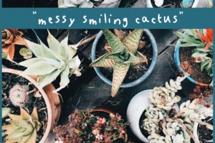 Messy Smiling Cactus: The Casual Typeface That Boosts Campaign Clarity