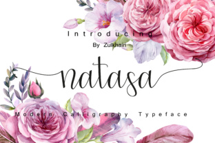 Natasa Script Review: A Designer’s Take on Real-World Application