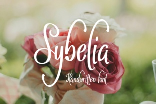 Sybelia Typeface: Elevating Campaign Visuals with Grace