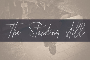 The Standing Still: A Handwritten Script for Elegant Brand Identity