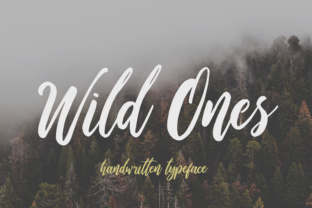 Wild Ones Font Review: A Designer’s Take on Script Amp